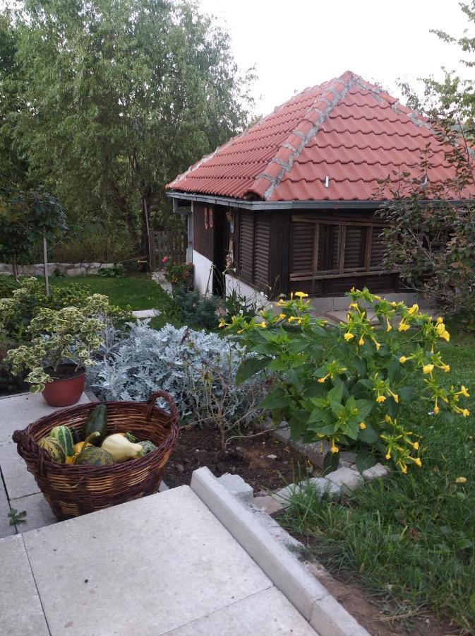 Apartman Civovic 鲁德尼克 外观 照片